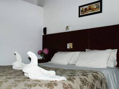 Nuevo Horizonte 3*